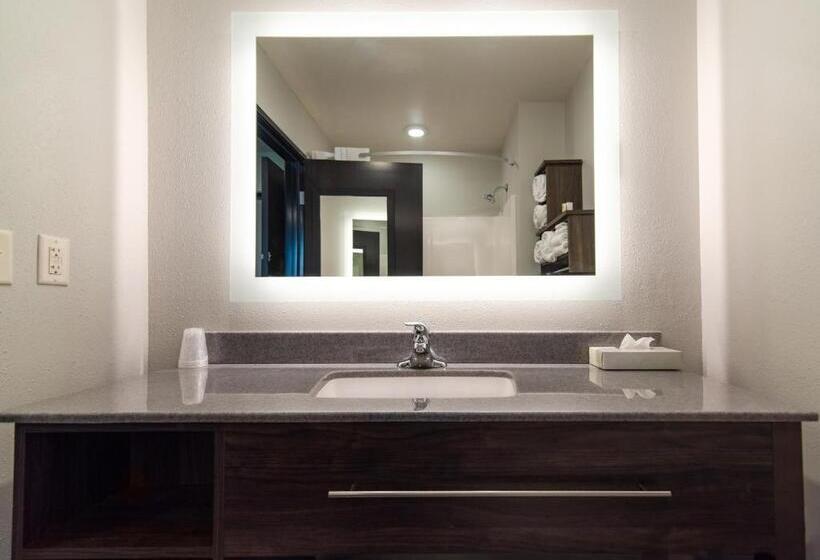 اتاق استاندارد برای معلولان, My Place Hotel Watertown, Sd