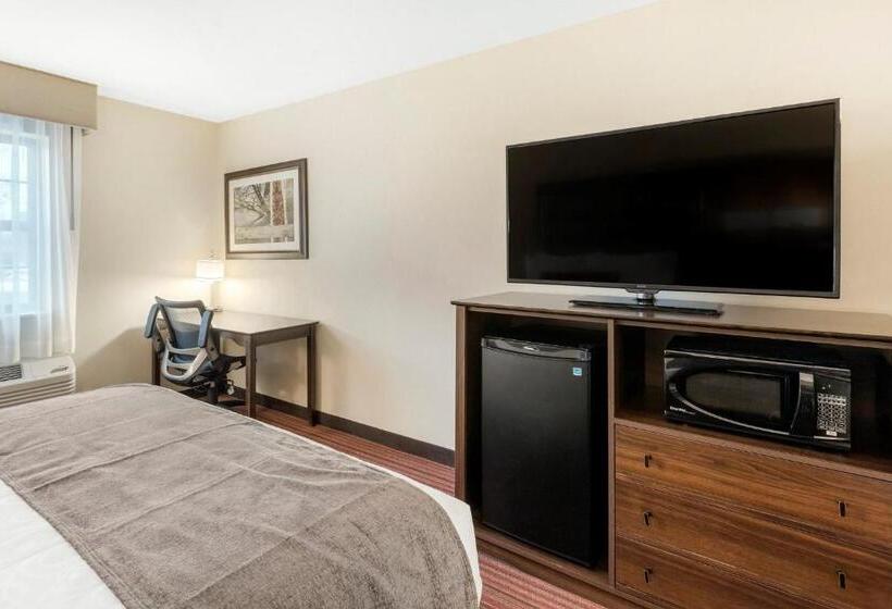 Номер Стандарт Кровать Кинг Адаптированный для Инвалидов, Country Inn & Suites By Radisson, Grandvillegrand Rapids West, Mi
