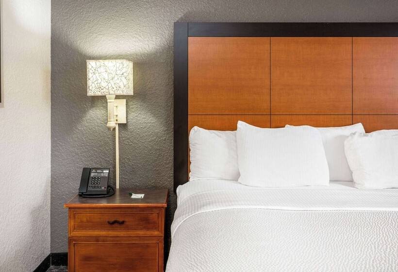Номер Deluxe, Super 8 By Wyndham The Woodlands North