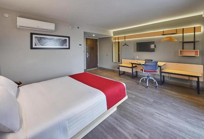 اتاق استاندارد, City Express By Marriott Guaymas