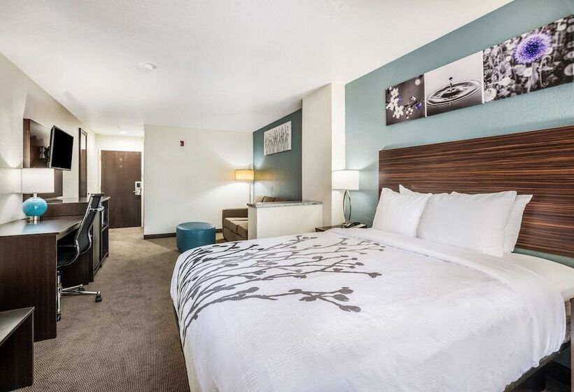 스위트, Sleep Inn & Suites Tallahasseecapitol