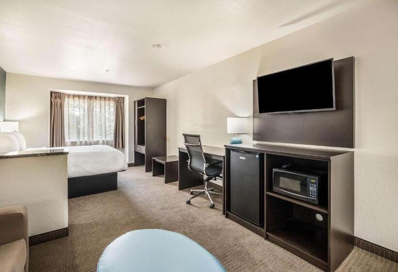 스위트, Sleep Inn & Suites Tallahasseecapitol