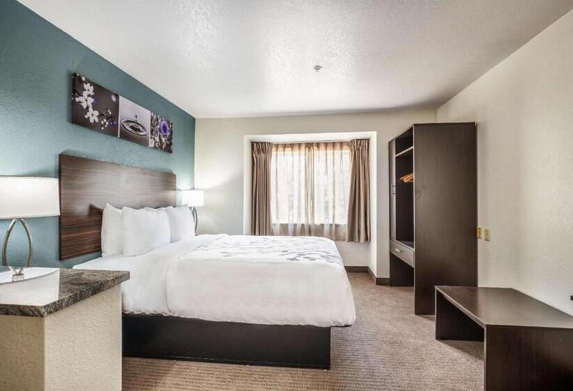 스위트, Sleep Inn & Suites Tallahasseecapitol
