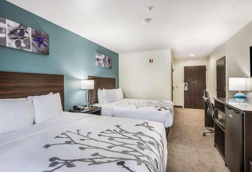 장애인을 위한 스탠다드 룸, Sleep Inn & Suites Tallahasseecapitol