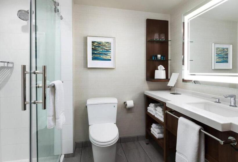 اتاق استاندارد با تخت دو نفره بزرگ, South Sioux City Marriott Riverfront