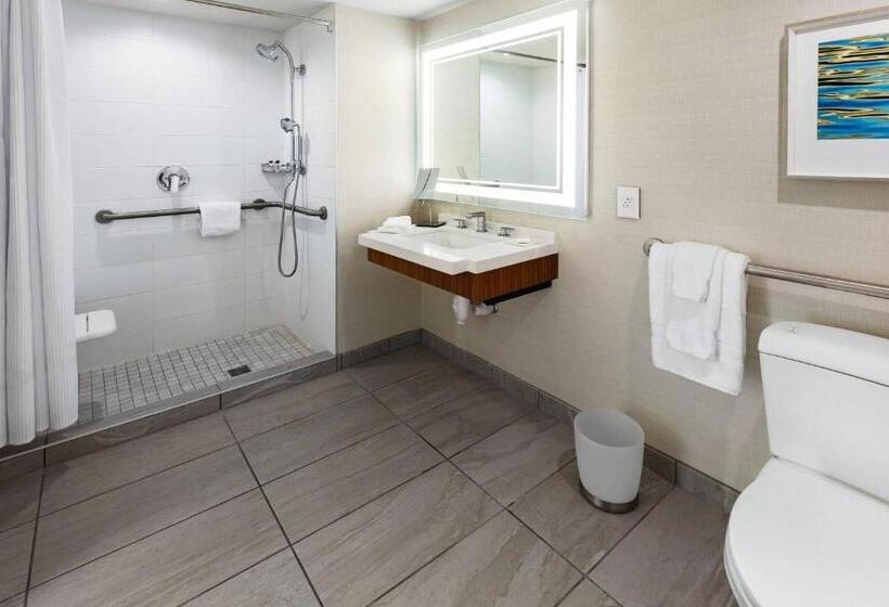 اتاق استاندارد با تخت بزرگ, South Sioux City Marriott Riverfront