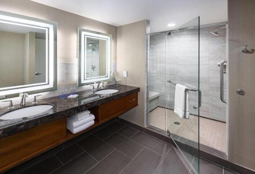 سوئیت اجرایی با تخت کینگ, South Sioux City Marriott Riverfront