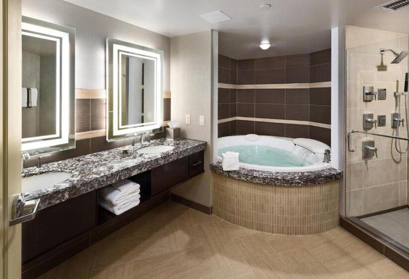 سوئیت با تخت بزرگ, South Sioux City Marriott Riverfront