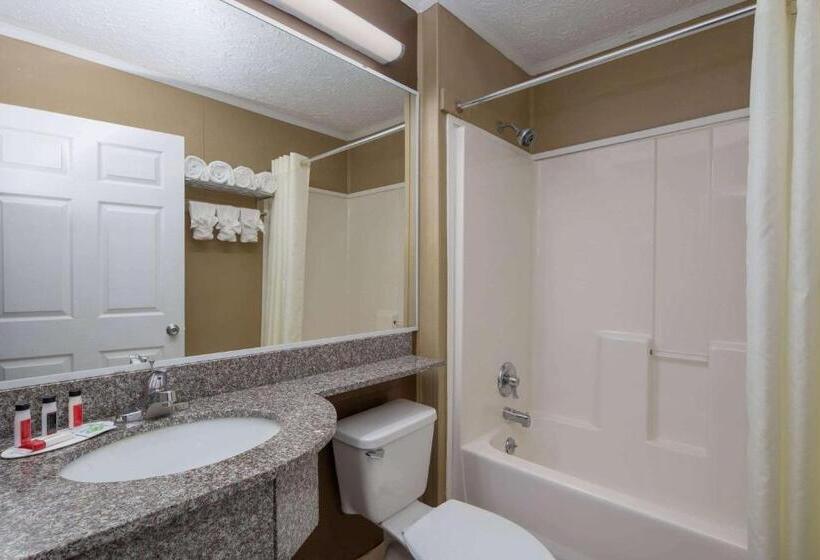 Номер Стандарт, Microtel Inn & Suites By Wyndham Columbia Fort Jackson N