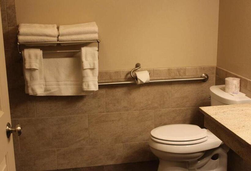 Номер Стандарт Кровать Квин Адаптированный для Инвалидов, Best Western Plus Concord Inn