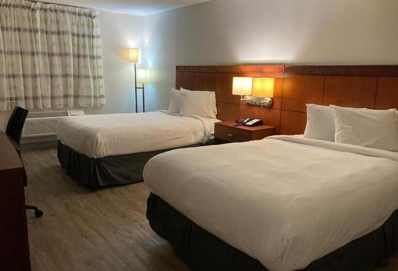Номер Стандарт, The Hotel Orange