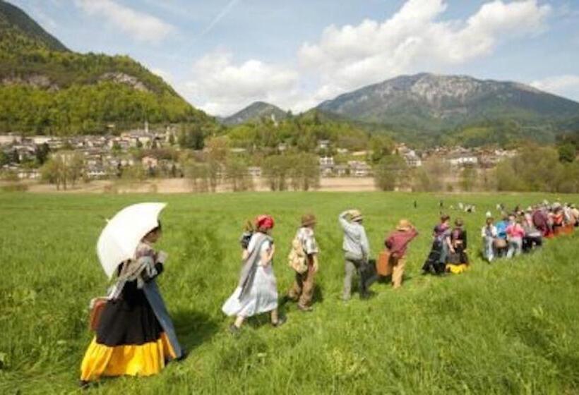 4인용 스탠다드 룸, Taxus Hostel