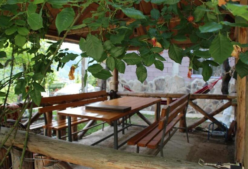 اتاق استاندارد سه نفره, Nikala's House