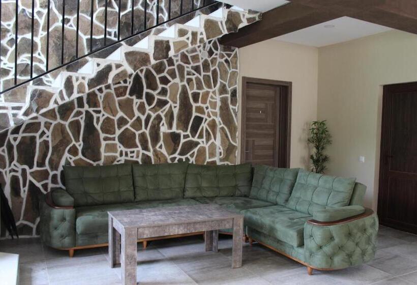 اتاق استاندارد سه نفره, Nikala's House