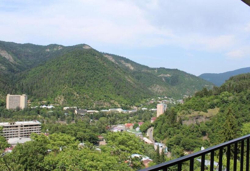 اتاق استاندارد با چشم‌انداز کوهستان, Nikala's House