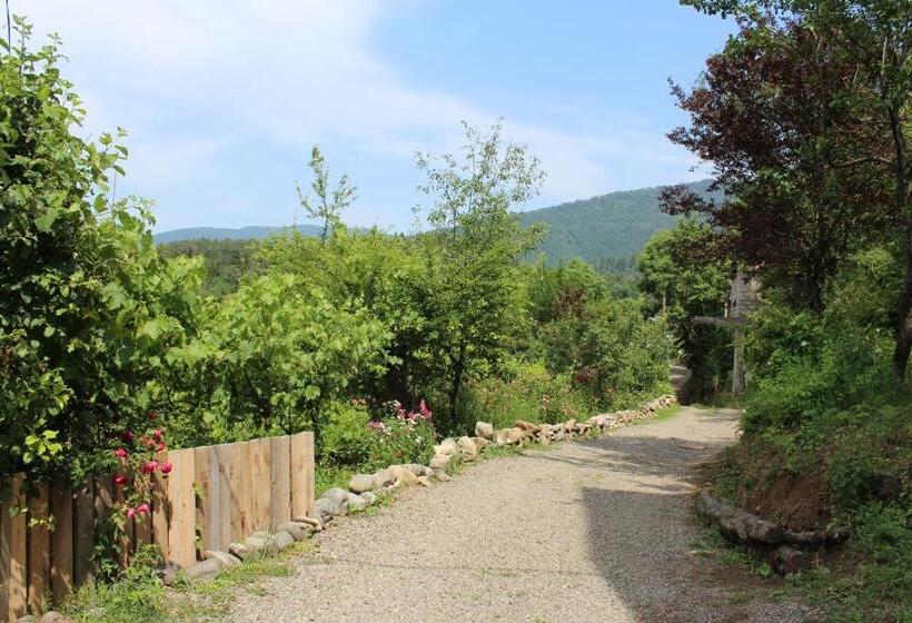 اتاق استاندارد با چشم‌انداز کوهستان, Nikala's House