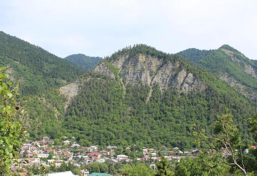 اتاق استاندارد با چشم‌انداز کوهستان, Nikala's House