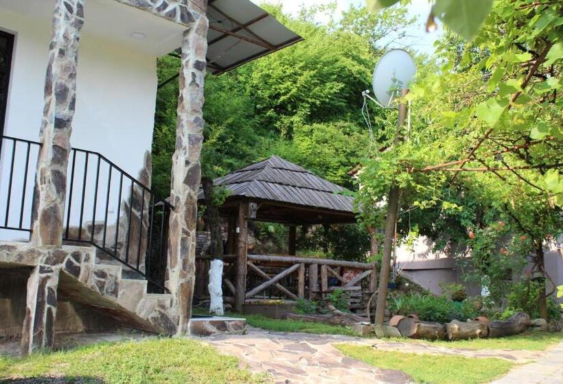 اتاق اکونومی, Nikala's House