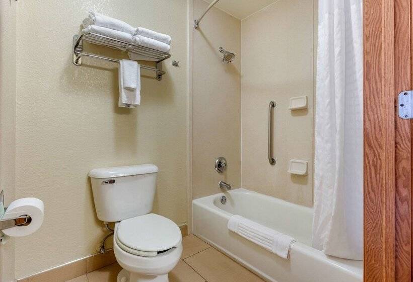 Люкс Адаптированный для Инвалидов, Comfort Inn & Suites Kenosha Pleasant Prairie