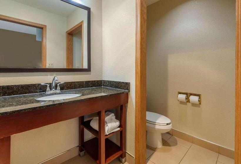 Люкс Кровать Кинг, Comfort Inn & Suites Kenosha Pleasant Prairie