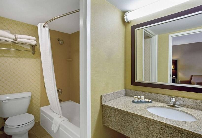 豪华房间, Hampton Inn Manchester Downtown
