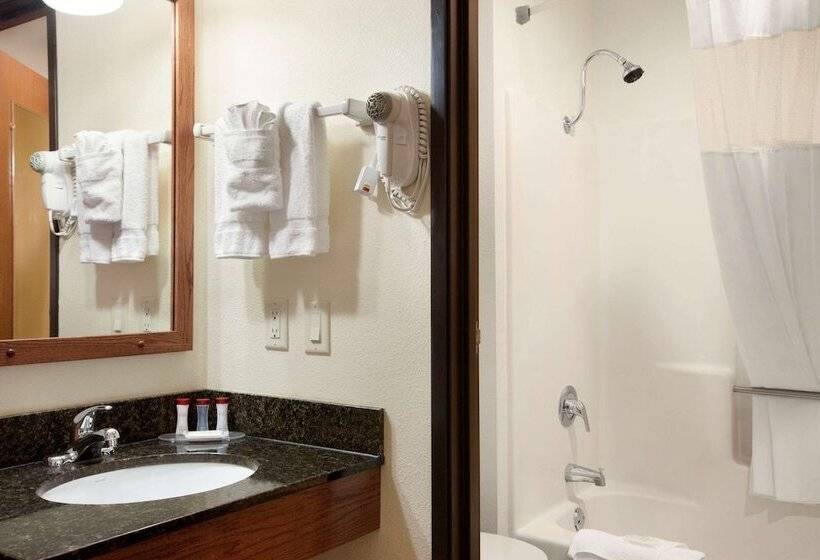 Номер Стандарт Адаптированный для Инвалидов, Ramada By Wyndham Wisconsin Dells I 90