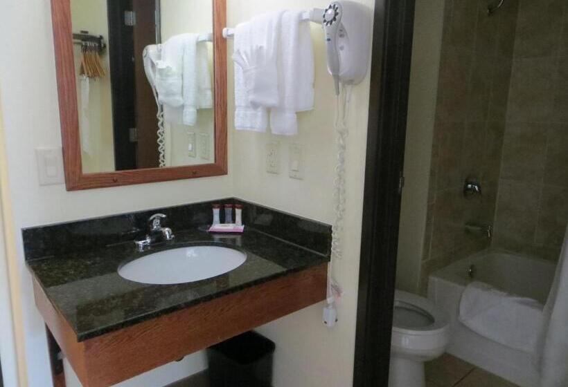 Номер Стандарт Адаптированный для Инвалидов, Ramada By Wyndham Wisconsin Dells I 90