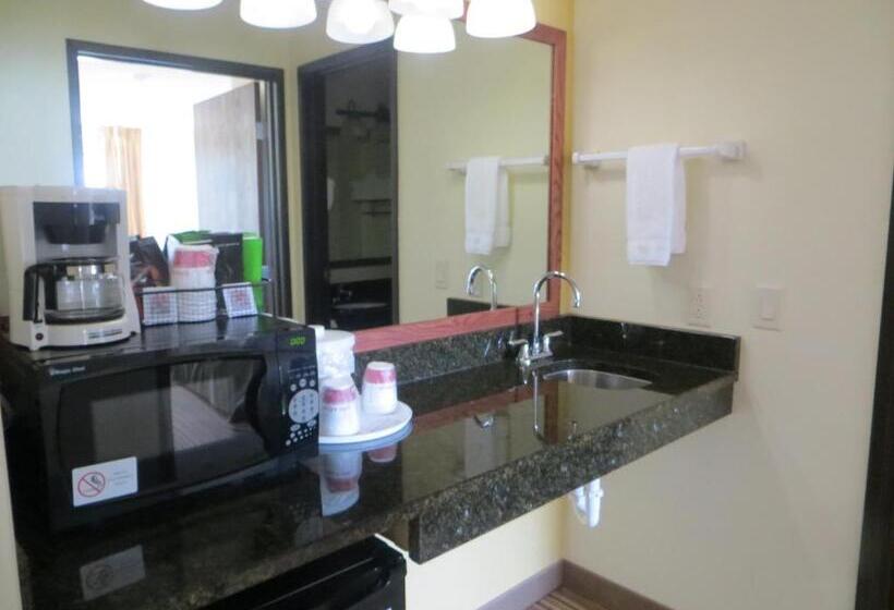 Студио Стандарт Кровать Кинг, Ramada By Wyndham Wisconsin Dells I 90