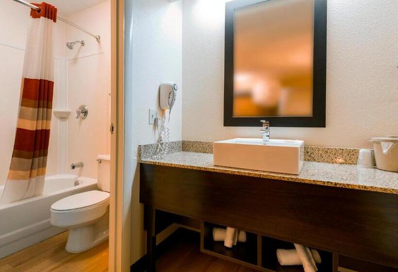 스탠다드 룸 킹사이즈 침대, Red Roof Inn Plus+ Ann Arbor   U Of Michigan North
