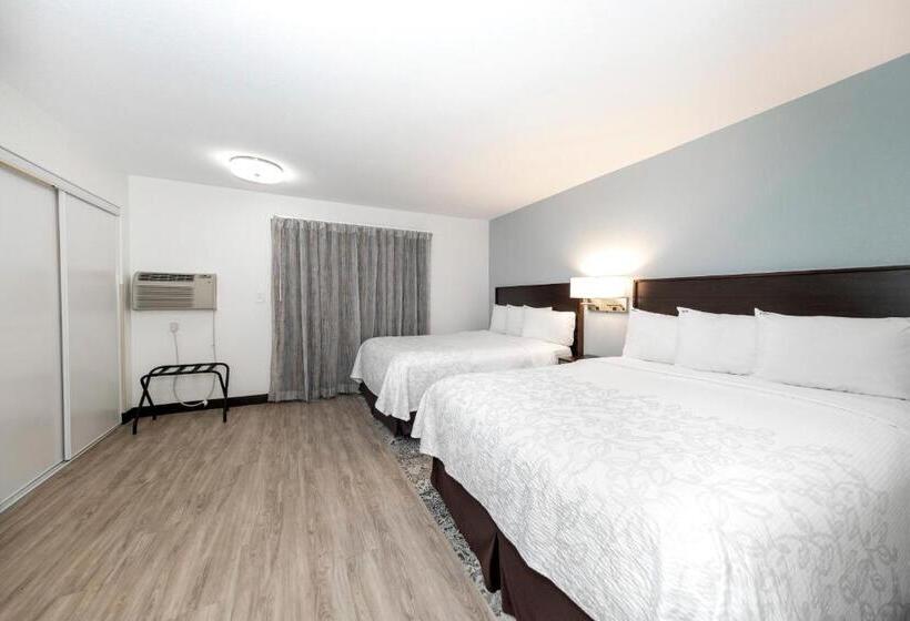 Люкс, Red Roof Inn Plus+ & Suites Naples Downtown 5th Ave S