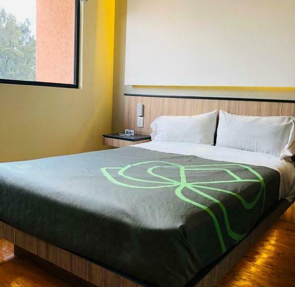 Quarto Superior, Lirio   Adult Only