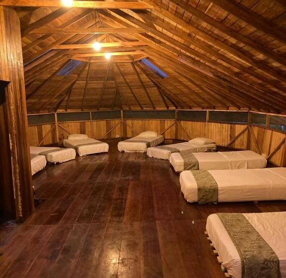 تختخواب در اتاق مشترک, Guest House Great Hostels Amazon