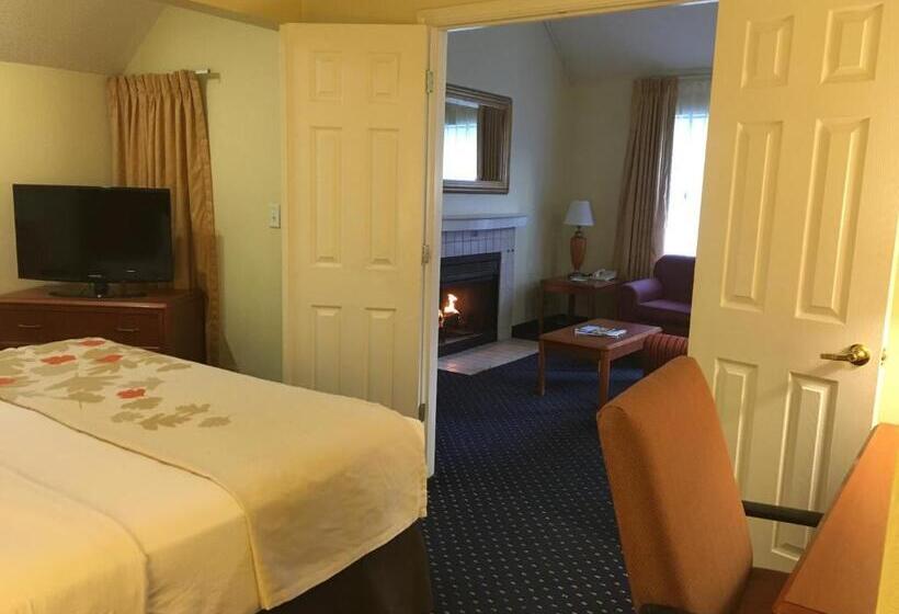 Люкс 2 Спальни, Affordable Suites Of America Grand Rapids