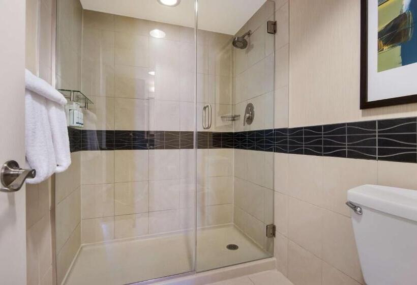 Standaard Studio, Sonesta Es Suites Chicago Downtown Magnificent Mile  Medical
