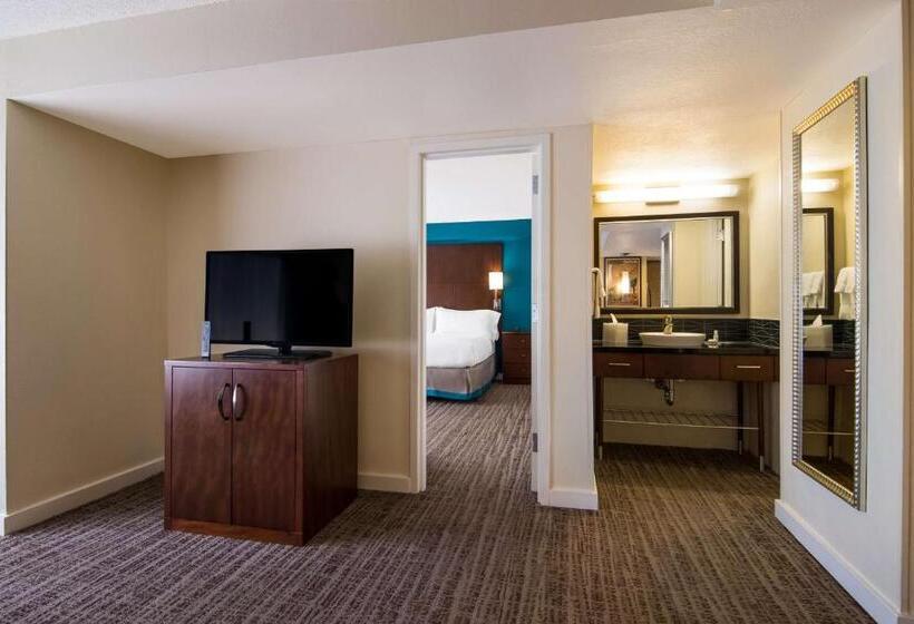 Suite met Kingsize Bed, Sonesta Es Suites Chicago Downtown Magnificent Mile  Medical