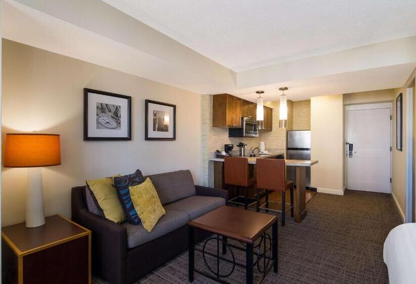 Standaard Studio met Kingsize Bed, Sonesta Es Suites Chicago Downtown Magnificent Mile  Medical