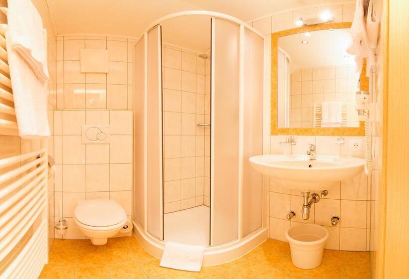 اتاق استاندارد یک نفره, Pension Sonnleitn