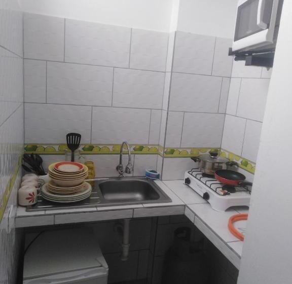 استودیو خانوادگی, Olas Inn