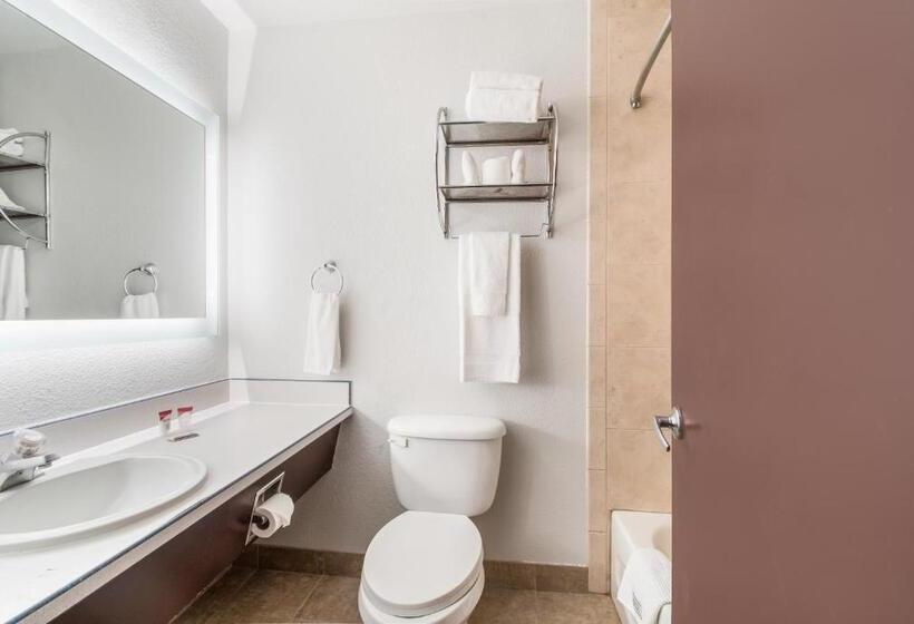 Büyük Çift Kişilik Yataklı Standart Oda, Red Lion Inn & Suites Vancouver