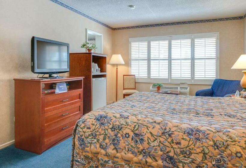 带大床的标准间, Saga Motor Hotel Pasadena