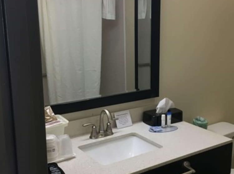 Номер Стандарт 2 Двуспальные Кровати, Best Western Travelers Rest/greenville