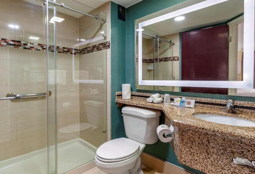 سوئیت با تخت بزرگ, Comfort Inn & Suites Houston I10 West Energy Corridor