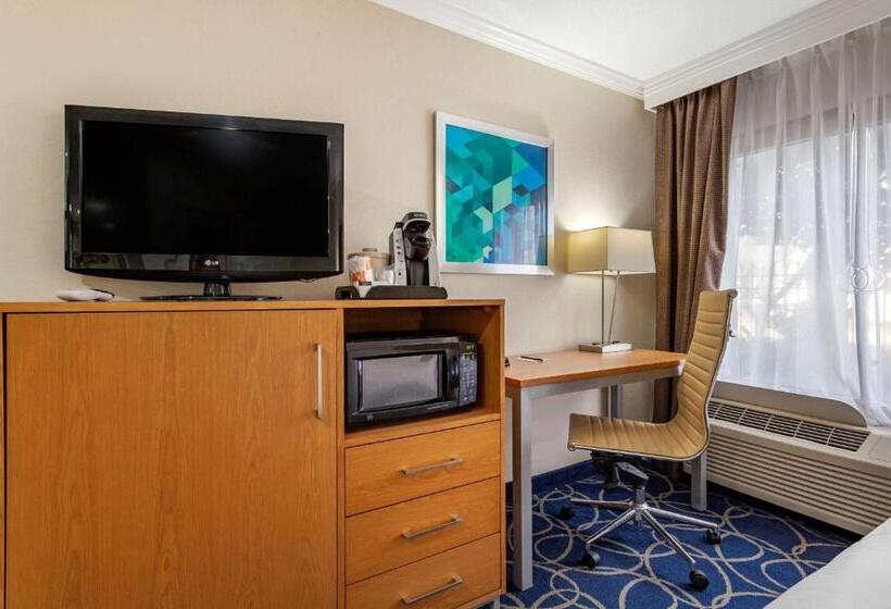 اتاق استاندارد با تخت بزرگ برای معلولان, Comfort Inn & Suites Houston I10 West Energy Corridor
