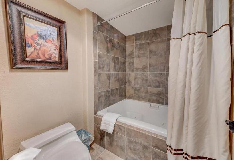 Апартаменты 1 Спальня, Silver King By All Seasons Resort Lodging