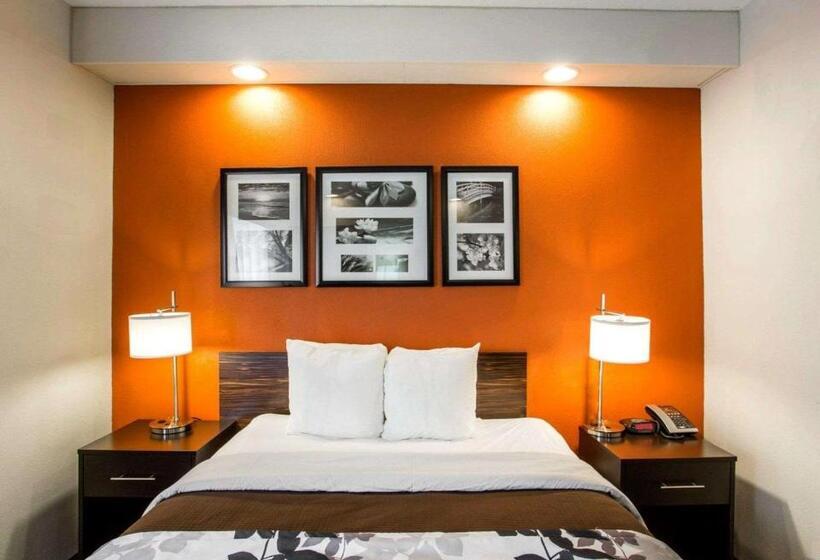 장애인을 위한 스탠다드 룸, Sleep Inn Nashville   Brentwood   Cool Springs