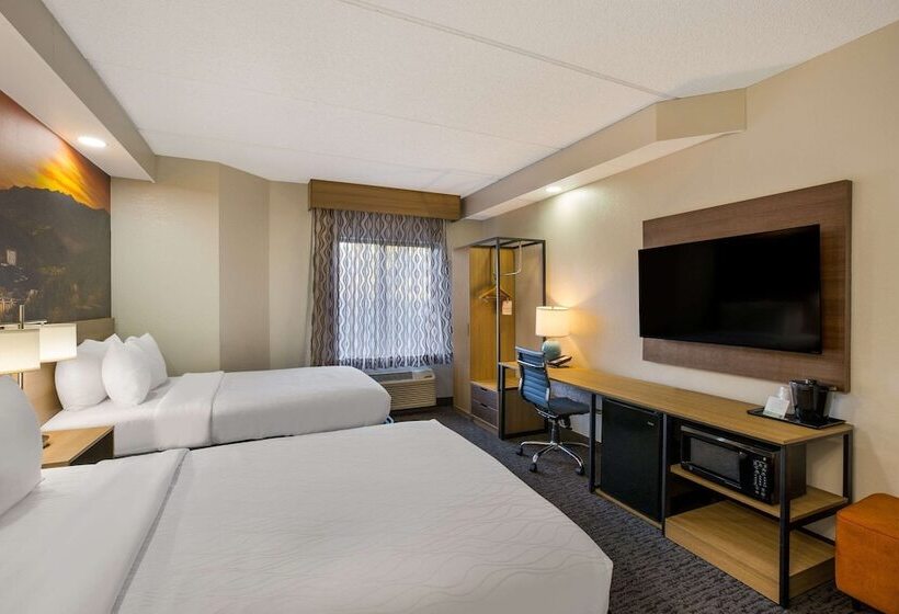 带2个双人床的标准工作室, Clarion Pointe Sevierville Pigeon Forge
