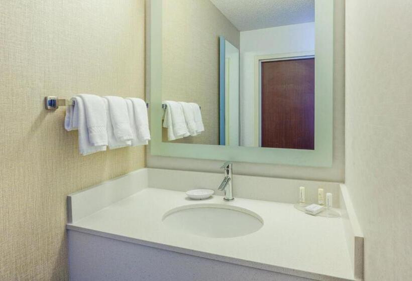 Люкс, Springhill Suites Minneapolisst. Paul Airport/eagan