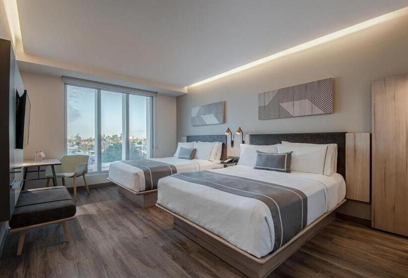 带2个双人床的标准工作室, City Express Plus By Marriott Mexicali