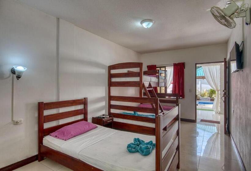 اتاق استاندارد چهار تخته, Ocean View Lodge
