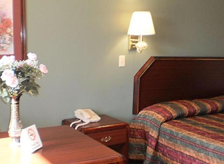 带大床的标准间, Executive Inn & Suites   Covington